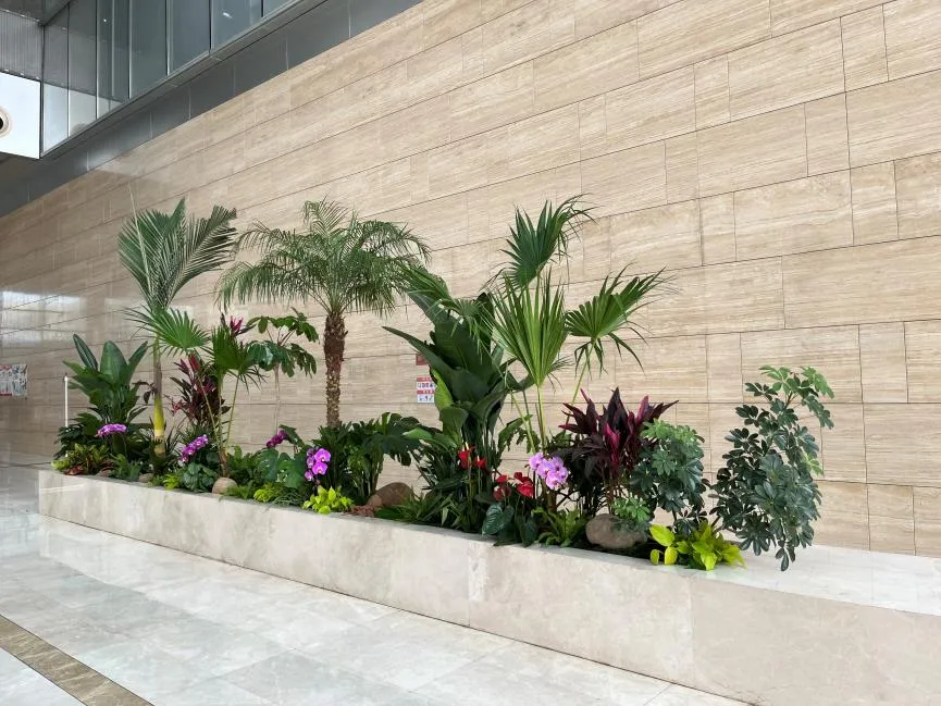 独具专业魅力,宁波余姚盆景出租超吸睛